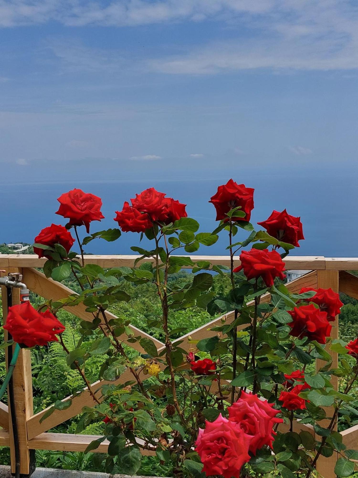 Θαλλώ Luxurious Villa Tsagarada Exterior photo