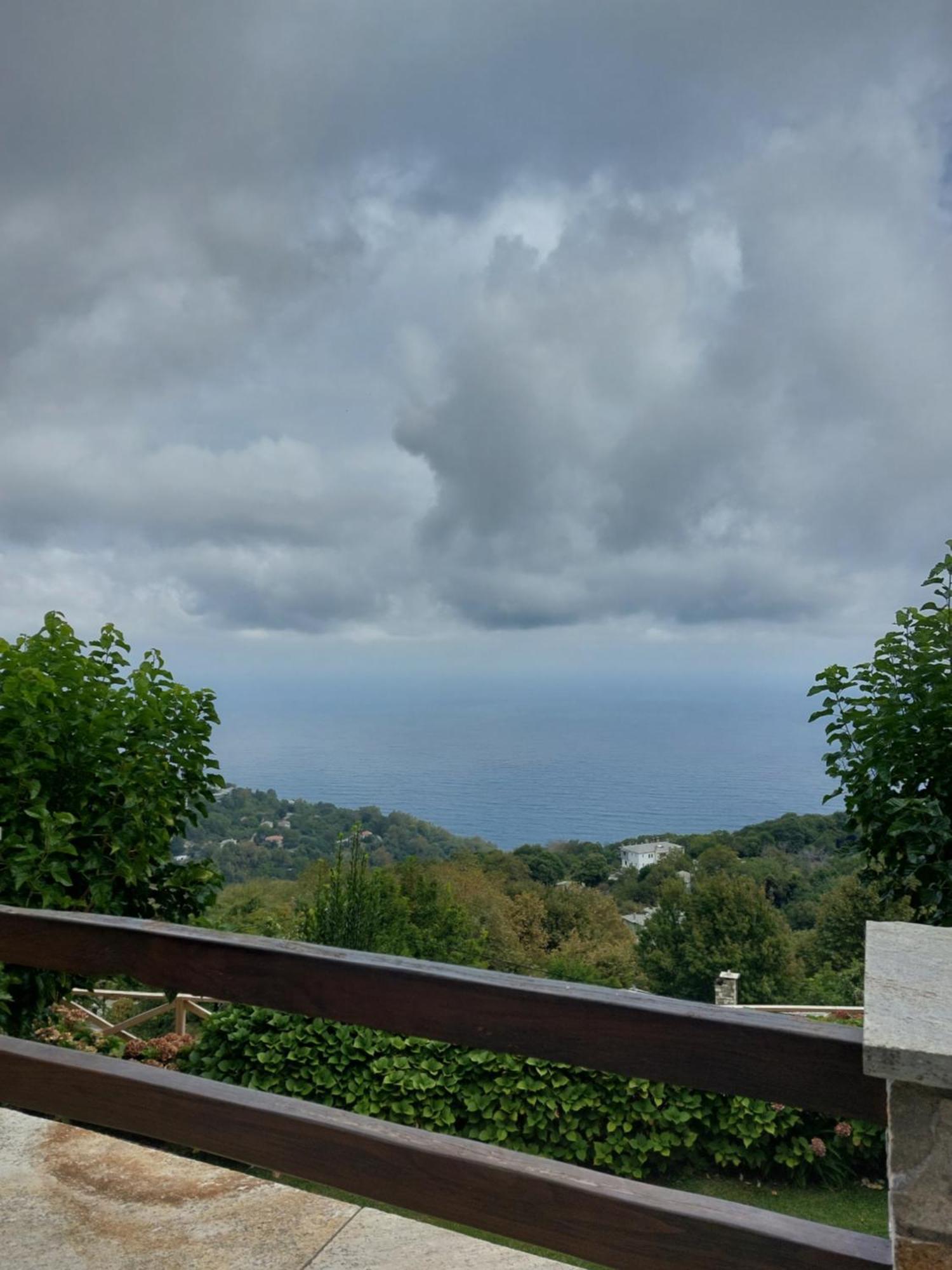Θαλλώ Luxurious Villa Tsagarada Exterior photo