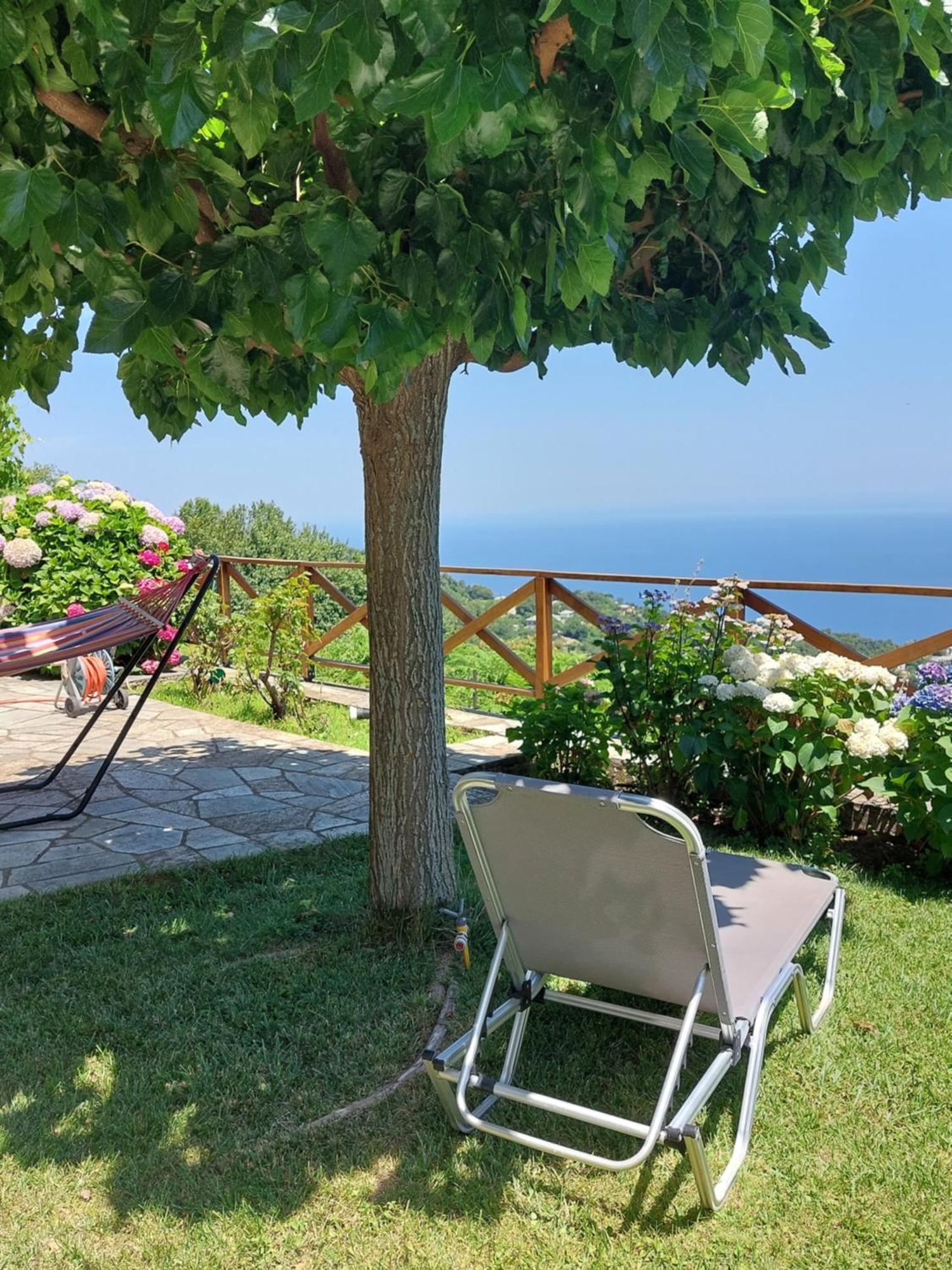 Θαλλώ Luxurious Villa Tsagarada Room photo