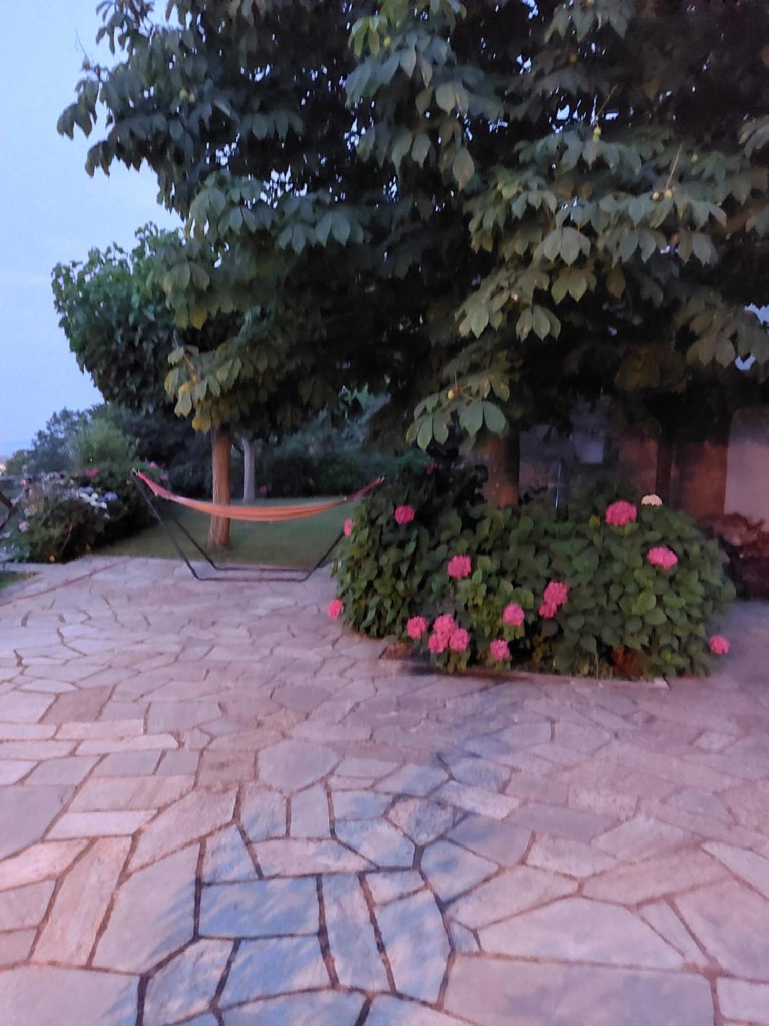 Θαλλώ Luxurious Villa Tsagarada Exterior photo